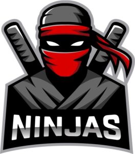 ninja vector